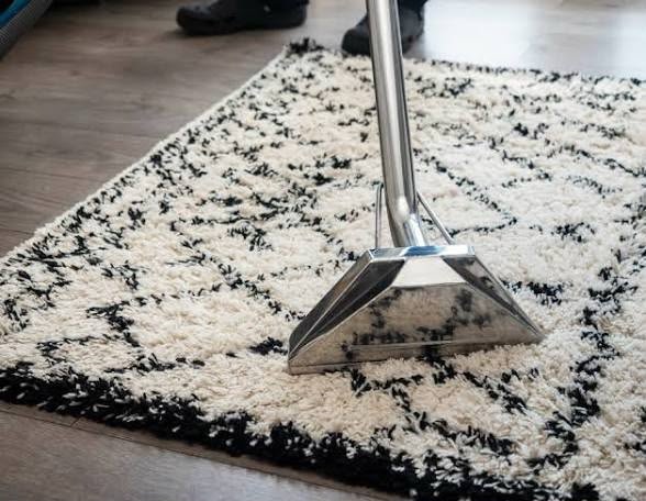 Professional area rug cleaning service