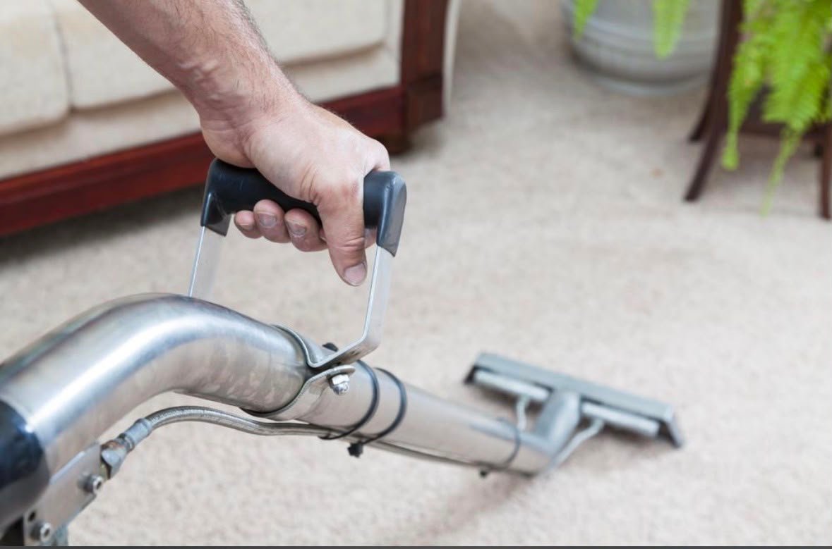 Professional carpet cleaning service