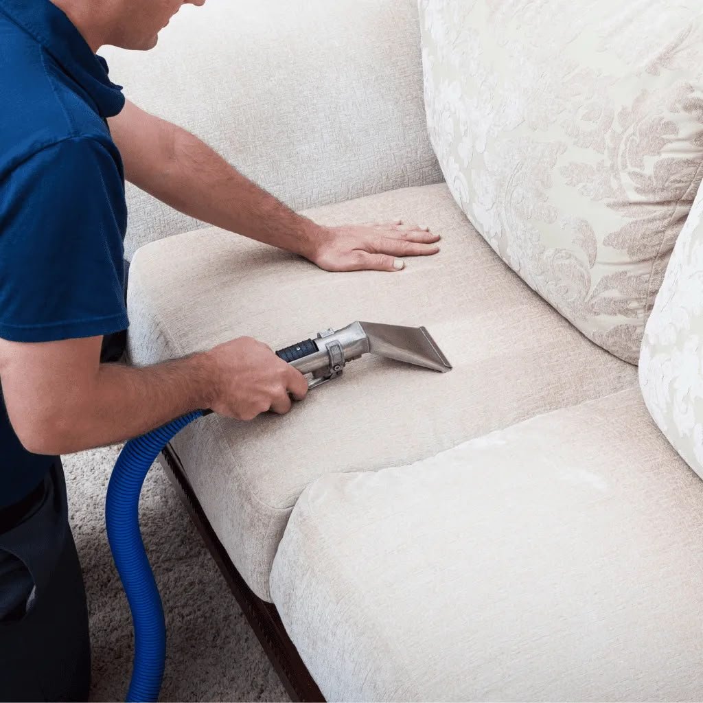 Professional upholstery cleaning process
