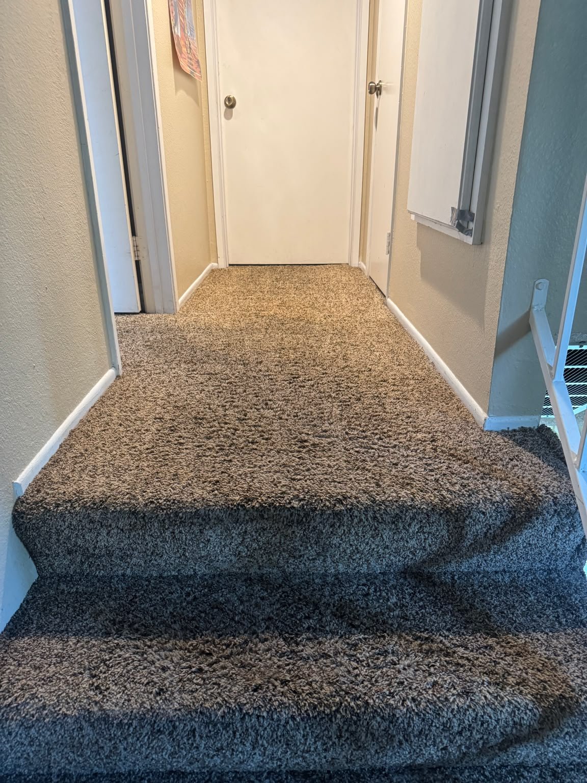 Carpet cleaning after in Santa Clarita